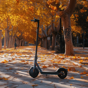 Electric Scooter 5~10